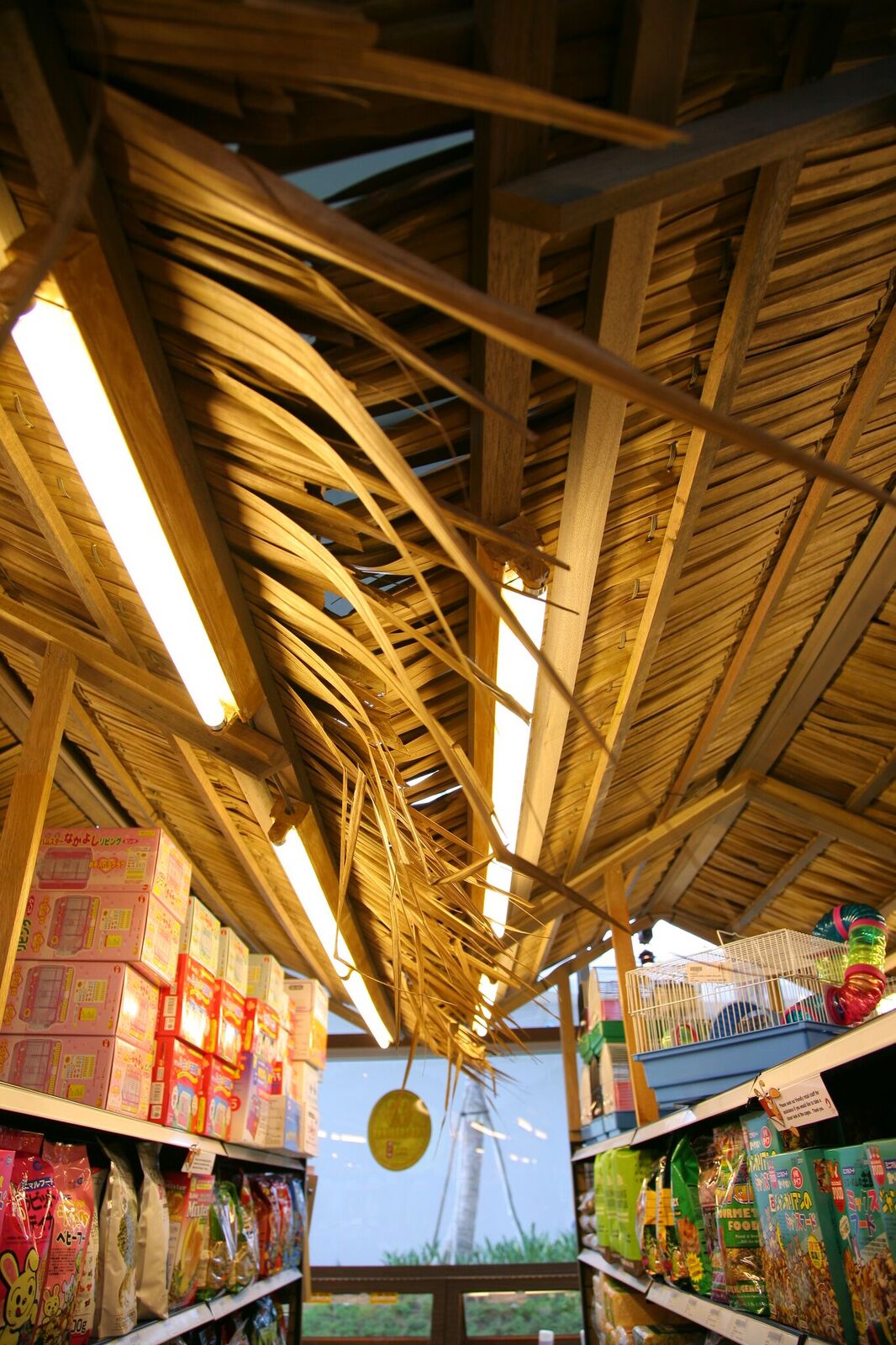 The Pet Safari Vivocity Thom Signature Part 2